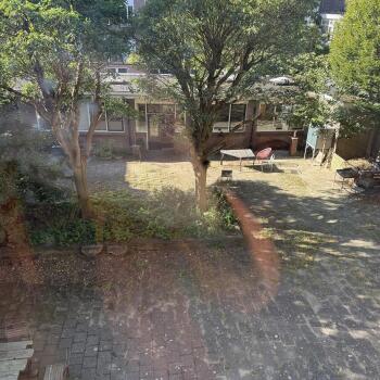 Tuin bij Sint Josephstraat 20